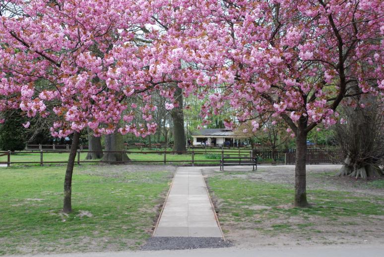JPEG image - Spring at the Park ...