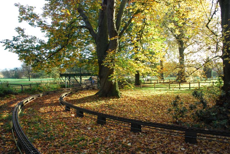 JPEG image - Autumn at the park ...
