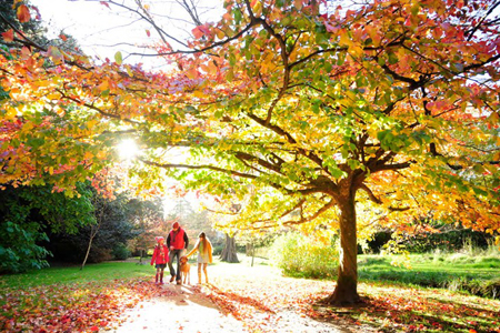 autumn-gardens