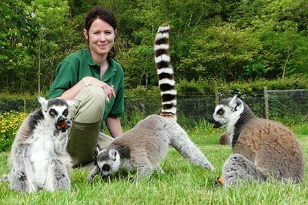 wildemma-with-lemurs